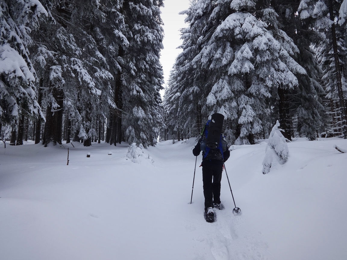 Schneeschuhwanderung im Erzgebirge