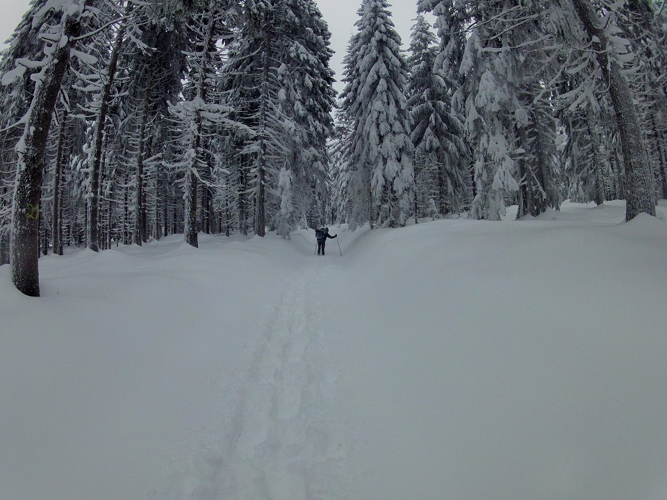 Schneeschuhwanderung tiefschnee erzgebirge