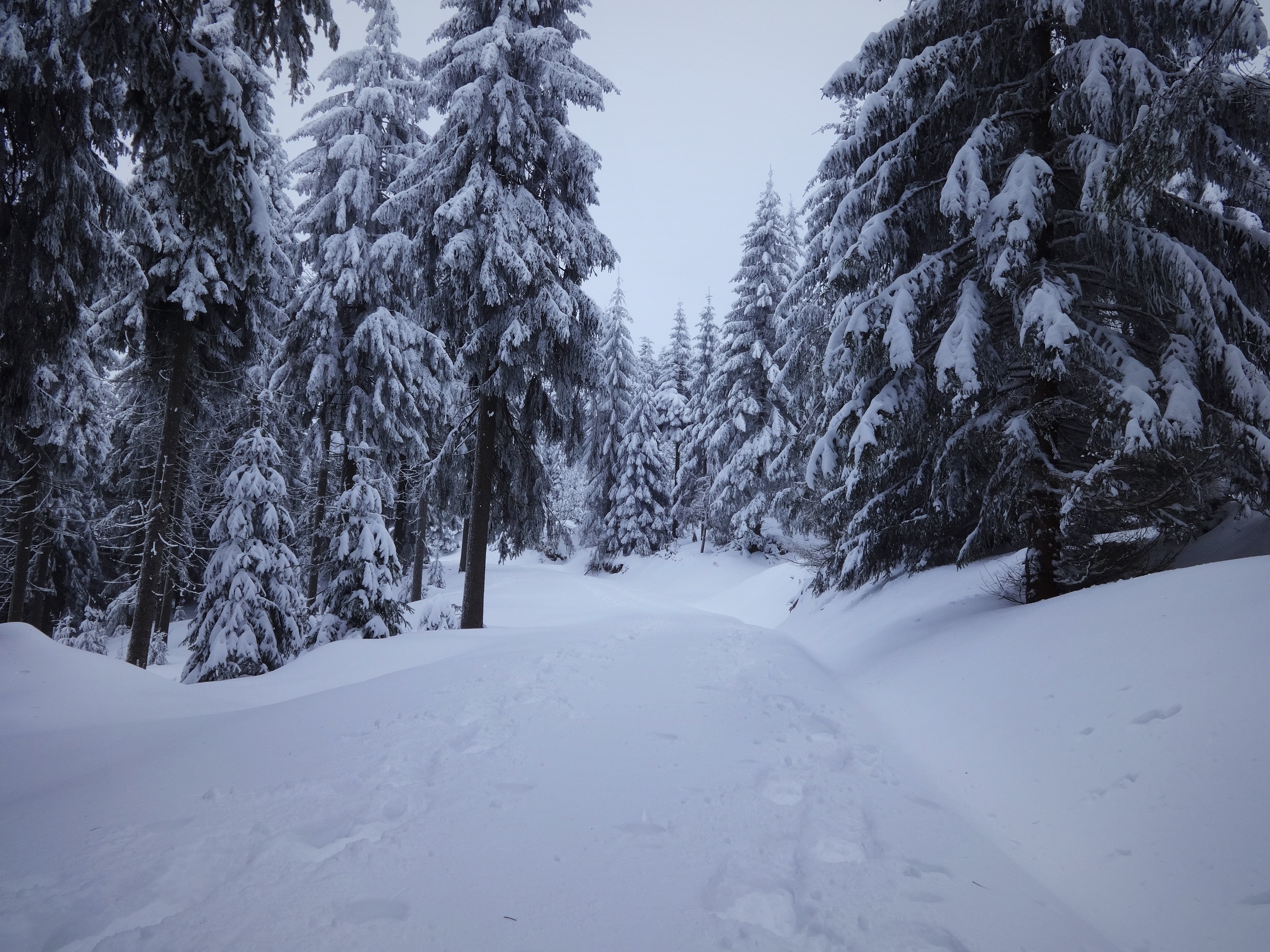 schnee Fichtelberg deutschland